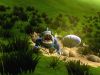 Spore 1