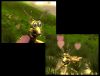 Spore