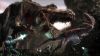 Turok 3